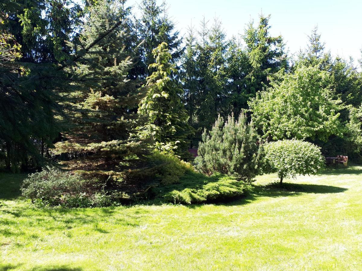 Agroturystyka Druzno Elblag Eksteriør bilde